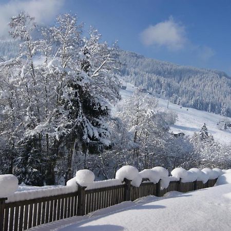 Alpbach Loft Daire Dış mekan fotoğraf