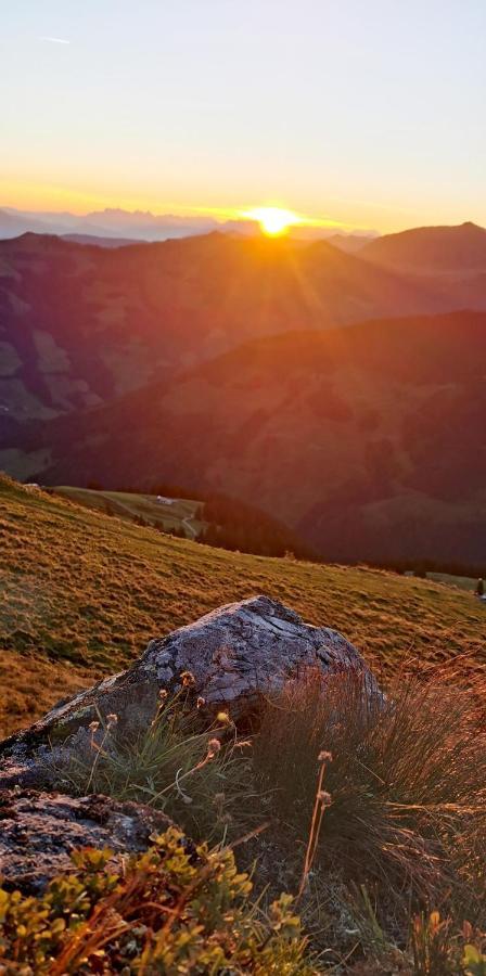 Alpbach Loft Daire Dış mekan fotoğraf