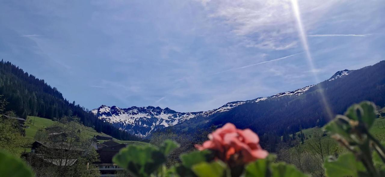Alpbach Loft Daire Dış mekan fotoğraf